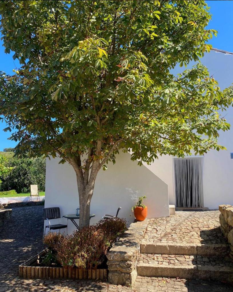 הוילה Marvão Quinta D'Abegoa מראה חיצוני תמונה